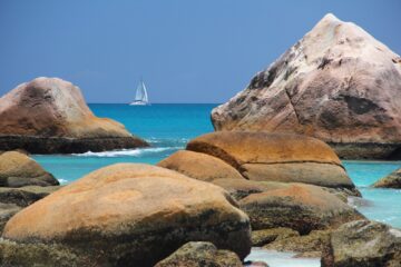 La maravillosa Isla de Socotra
